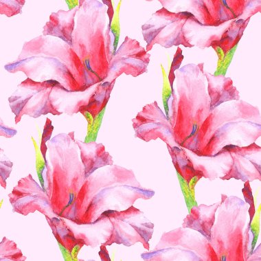 Suluboya pembe gladiolus tomurcuğu, kusursuz desen.