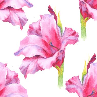 Suluboya pembe gladiolus tomurcuğu, kusursuz desen.