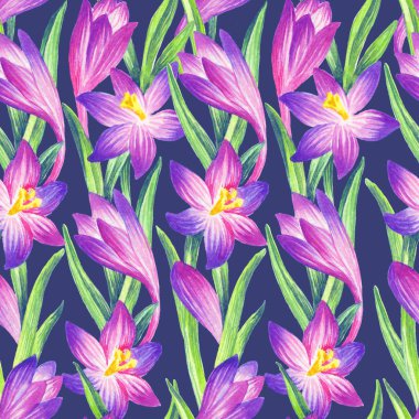 Pembe crocus suluboya kusursuz desen