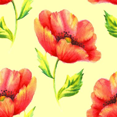 Elle boyanmış kusursuz desenli suluboya kırmızı haşhaş..