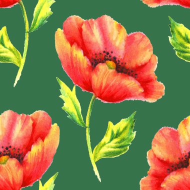 Elle boyanmış kusursuz desenli suluboya kırmızı haşhaş..