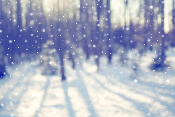 Forêt enneigée hivernale, fond de saison déphocalisé. — Photo