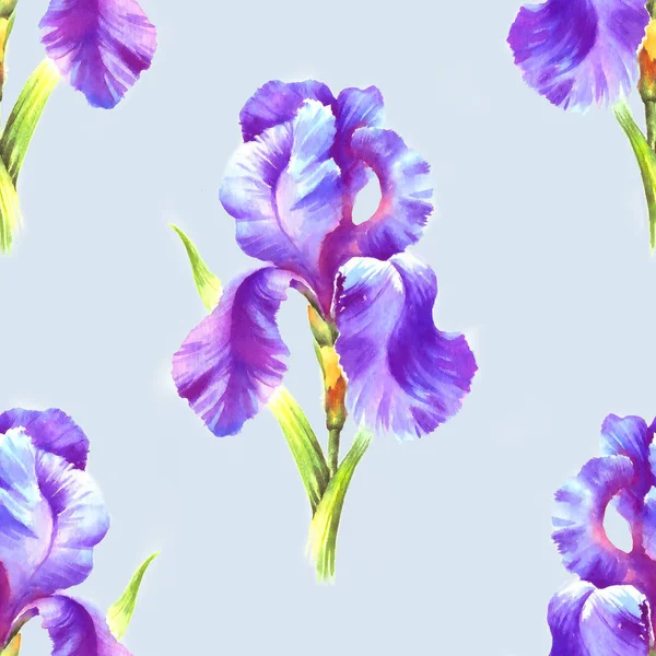 Υδατογραφία Χέρι Χρώμα Ίριδας Λουλούδι Αδιάλειπτη Μοτίβο Για Την Κλωστοϋφαντουργία — Φωτογραφία Αρχείου