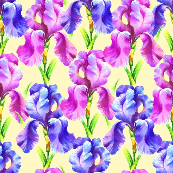 Aquarelle Peinture Main Fleur Iris Motif Sans Couture Pour Textile — Photo