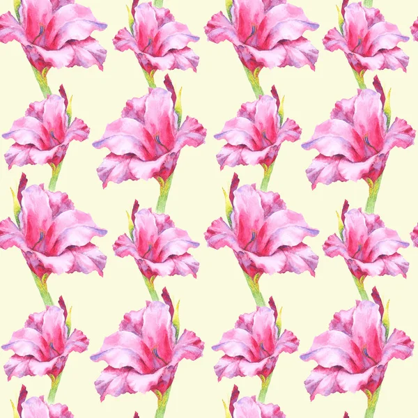 Akvarel růžový gladiolus bud, hladký vzor. — Stock fotografie
