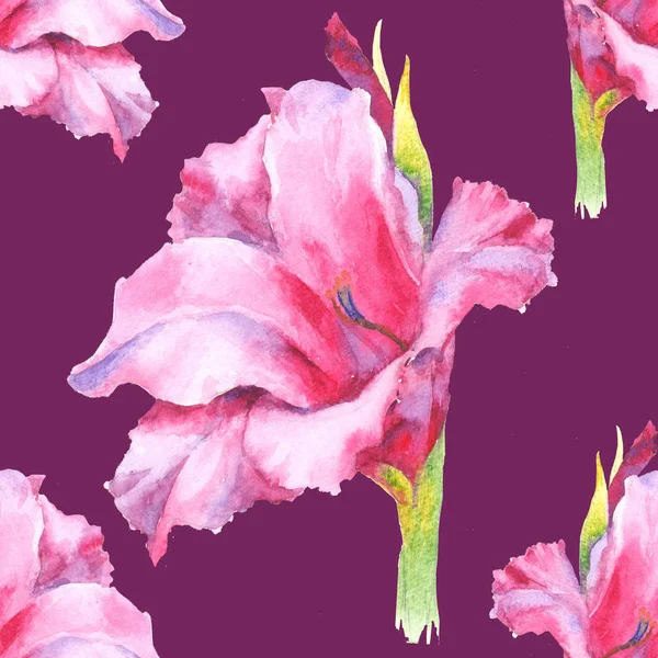 Watercolor pink gladiolus bud, seamless pattern. — Stock Photo, Image