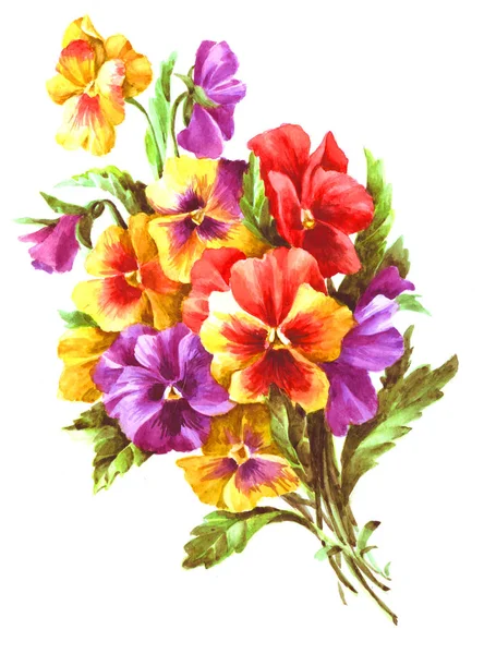 Bouquet with violet pansies and yellow pansies watercolor vintag — 스톡 사진