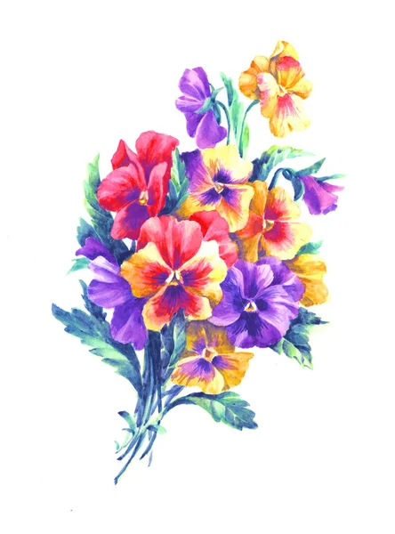 Bouquet with violet pansies and yellow pansies watercolor vintage — 스톡 사진