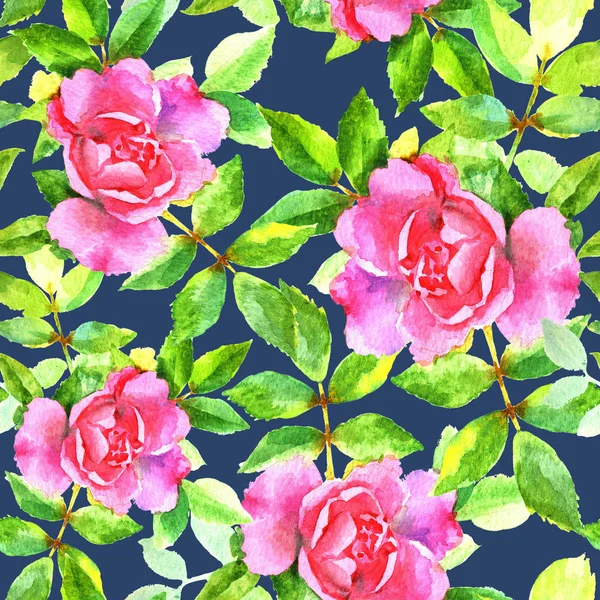 Aquarela Mão Pintar Rosas Rosa Raster Padrão Sem Costura Fundo — Fotografia de Stock