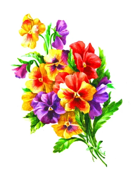 Bouquet with violet pansies and yellow pansies watercolor vintag — 스톡 사진