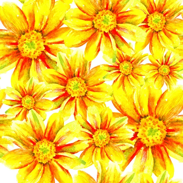 Dahlia acquerello mano dipingere fiori, modello senza soluzione di continuità . — Foto Stock
