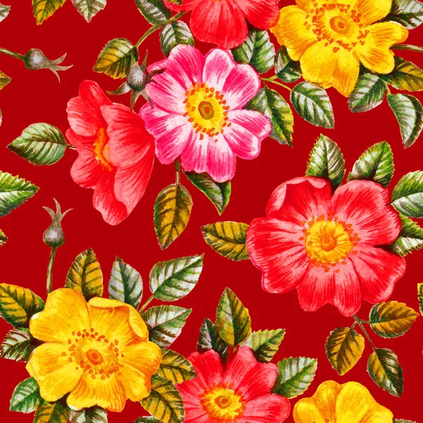 Akvarell hund ros blommor sömlös mönster. — Stockfoto