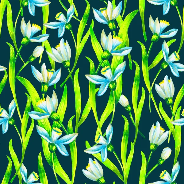 Snowdrop  watercolor flowers seamless pattern — Stock Photo, Image