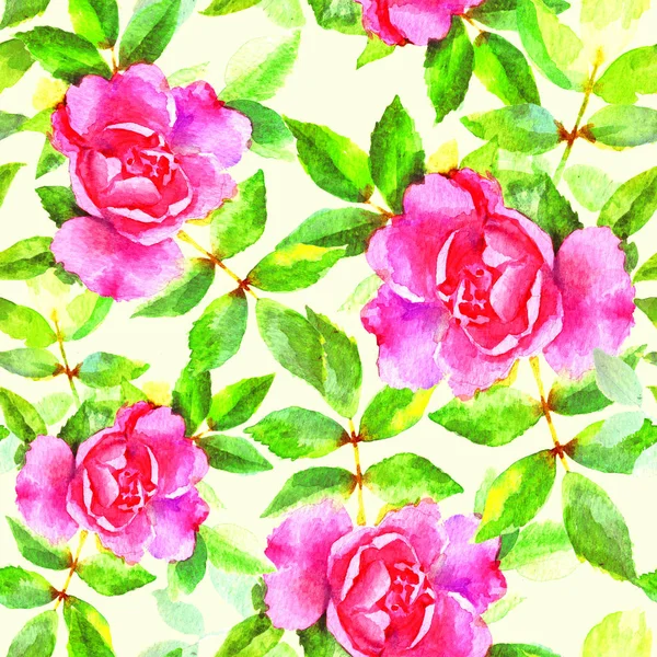 Aquarela Mão Pintar Rosas Rosa Raster Padrão Sem Costura Fundo — Fotografia de Stock