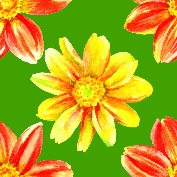 Dahlia watercolor hand paint flowers, seamless pattern. — Stock Photo, Image