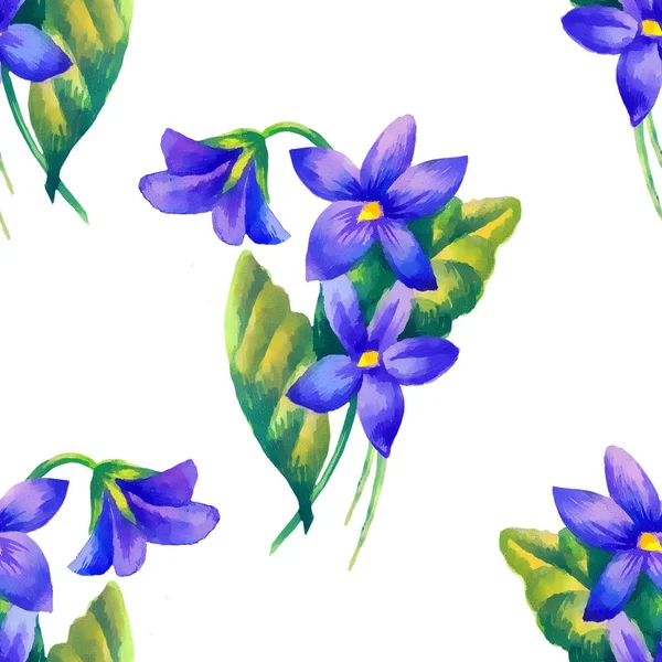 Violets, watercolor  illustration,  seamless pattern — 스톡 사진