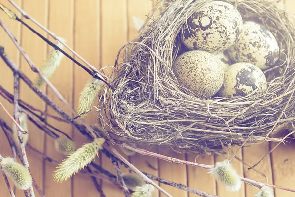 Ορτύκια αυγά στη φωλιά, κλαδιά μουνιού σε ξύλινο φόντο. — Φωτογραφία Αρχείου