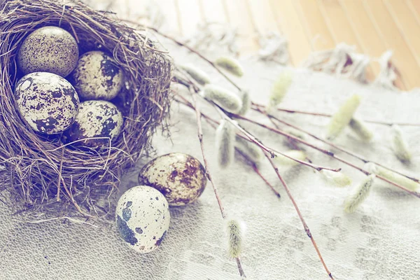 Kwartels eieren in nest, poesje-wilg takken op textiel achtergrond — Stockfoto