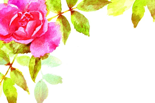 Akwarela różowa róża z liśćmi — Zdjęcie stockowe