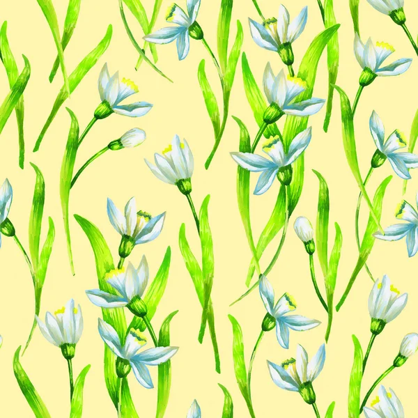 Snowdrop aquarela flores sem costura padrão — Fotografia de Stock