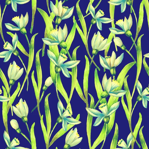 Snowdrop aquarela flores sem costura padrão — Fotografia de Stock