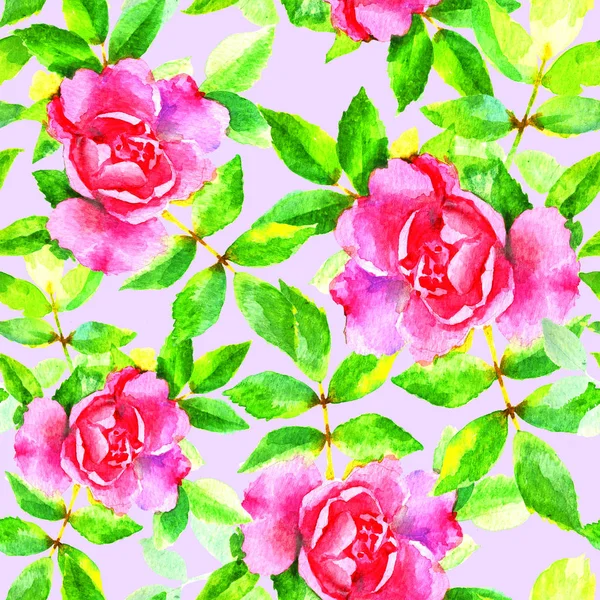 Watercolor hand paint pink roses, raster seamless pattern. Background for web pages, wedding, save the date invitations and cards, fabric texture.