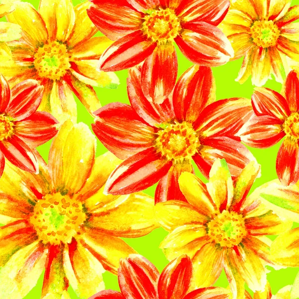 Dahlia aquarela mão pintar flores, padrão sem costura . — Fotografia de Stock
