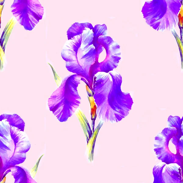 Watercolor Hand Painted Iris Flower Seamless Pattern Textile Wallpaper Background — Stock Photo, Image