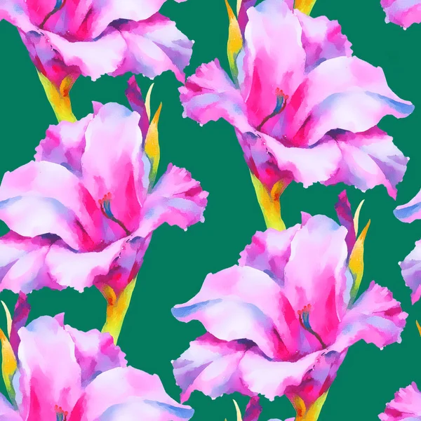 Watercolor Hand Paint Pink Gladiolus Bud Seamless Pattern Template Textile — Stock Photo, Image