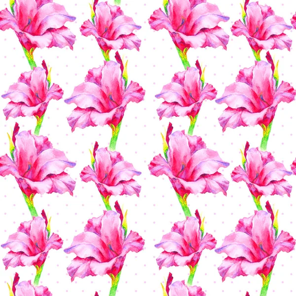 Akvarell Kézi Festék Rózsaszín Rügy Gladiolus Liliom Zökkenőmentes Minta Sablon — Stock Fotó
