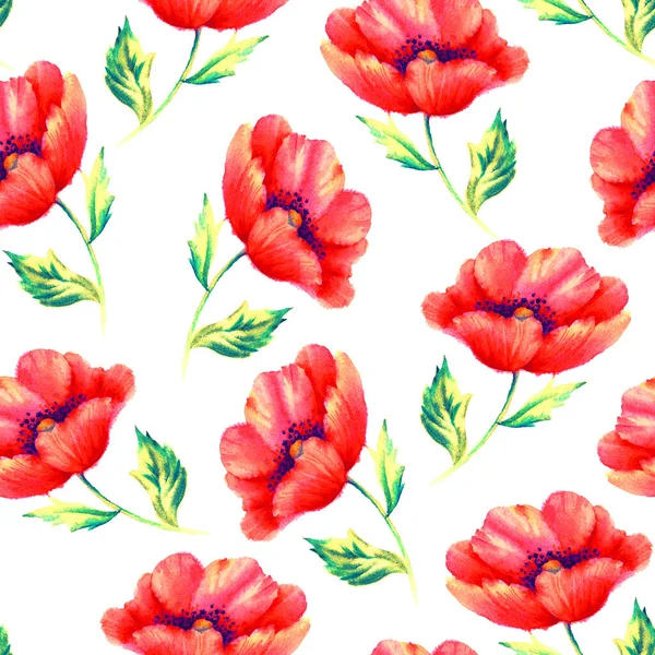 无缝隙图案 手绘水彩红罂粟 纺织品模板 包装纸 — 图库照片