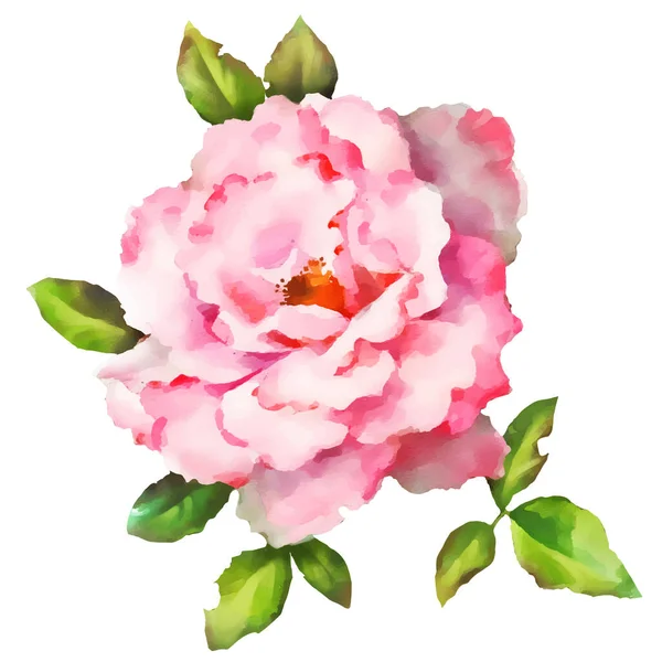 Векторная Иллюстрация Розового Цвета — стоковый вектор