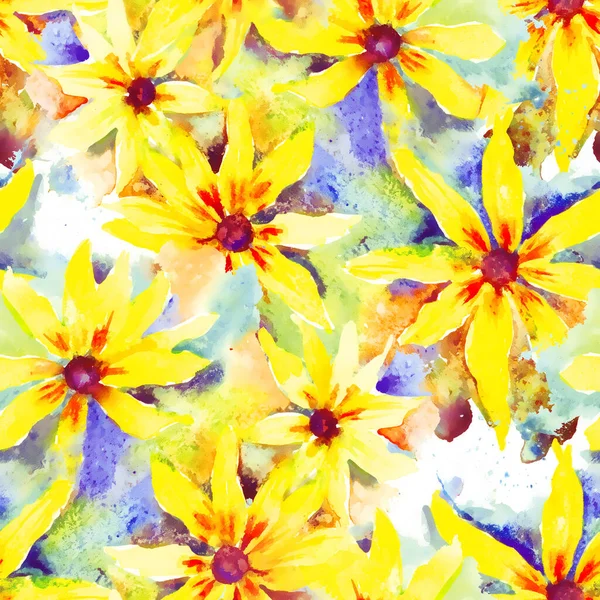 Rudbeckia 花色手绘水彩画背景 无缝图案纺织品 包装纸 — 图库照片