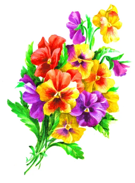 Bouquet Violet Pansies Yellow Pansies Watercolor Vintage Hand Painted Illustration — 스톡 사진