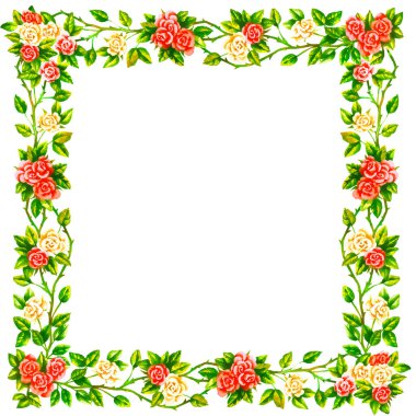 Beyaz arkaplanda el boyası gül çerçevesi izole, suluboya vintage illüstrasyon.