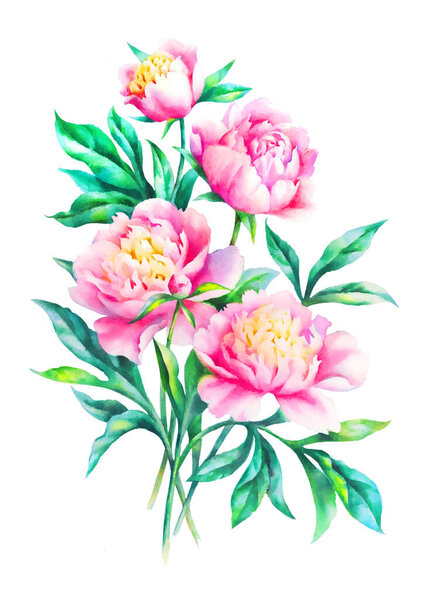 Букет из розовых пионов с акварелью на белом фоне
.
