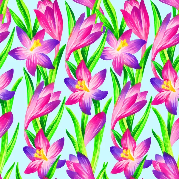 Modello Senza Cuciture Crocus Rosa Pittura Mano Acquerello Illustrazione Modello — Foto Stock