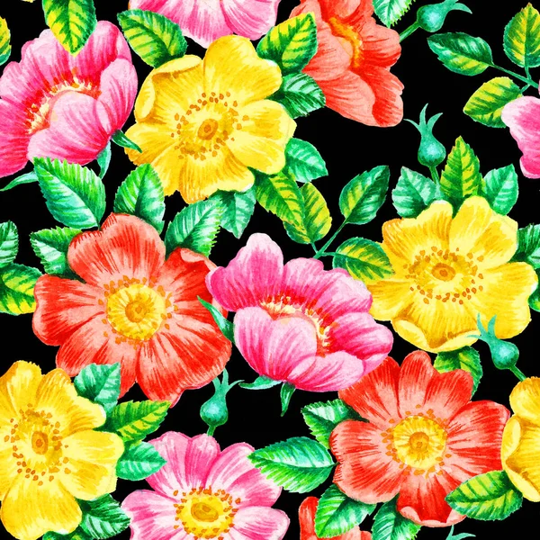 Pittura Mano Acquerello Cane Rosa Fiori Modello Senza Soluzione Continuità — Foto Stock