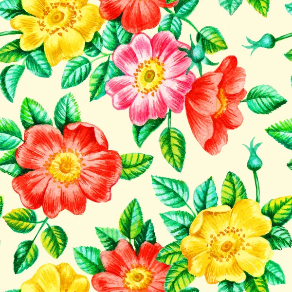 Watercolor hand paint dog rose flowers seamless pattern, template for textile, wallpaper, wrapping paper.