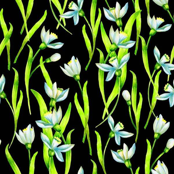 Snowdrop Λουλούδια Αδιάλειπτη Μοτίβο Χέρι Ζωγραφική Ακουαρέλα Εικόνα Πρότυπο Για — Φωτογραφία Αρχείου