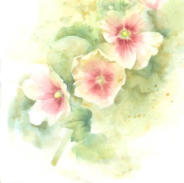 マローピンクの花 手塗り水彩イラスト グリーティングカードのためのテンプレート バナー — ストック写真