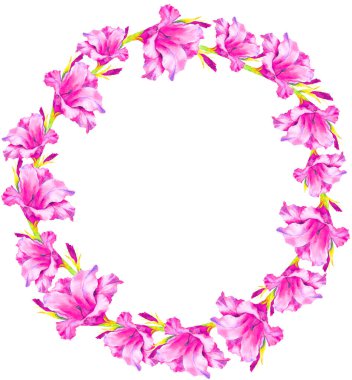 Suluboya el boyası pembe