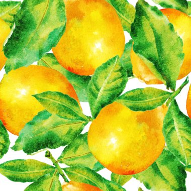 Yapraklı suluboya limon ağacı, pürüzsüz desenli. Elle boyanmış resim.