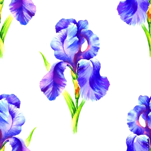 Akvarell Handfärg Iris Blomma Sömlös Mönster För Textil Tapet Bakgrund — Stockfoto