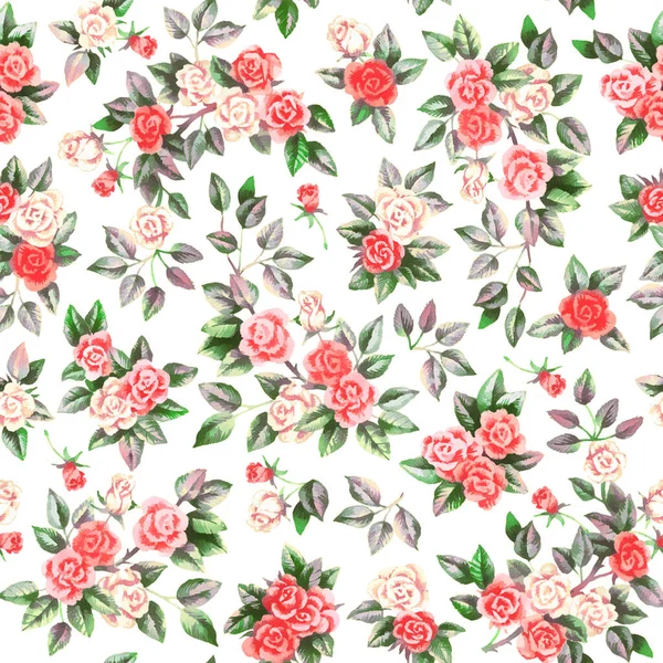 Acuarela Mano Pintura Rosas Patrón Sin Costura —  Fotos de Stock