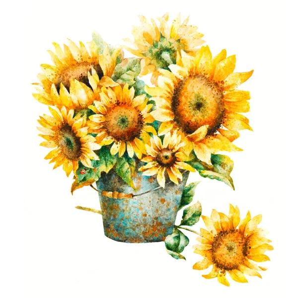 Acquerello Bouquet Girasoli Pittura Mano Illustrazione Sfondo Bianco — Foto Stock