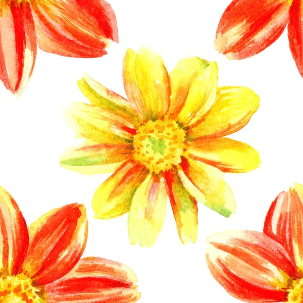 Dahlia Piros Sárga Akvarell Kézi Festék Virágok Zökkenőmentes Minta — Stock Fotó