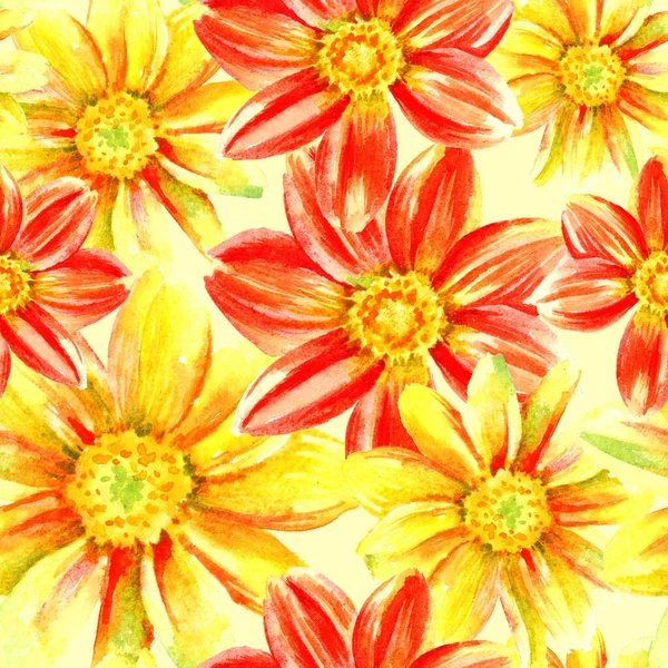 Dahlia Κόκκινο Και Κίτρινο Χρώμα Στο Χέρι Λουλούδια Χρώμα Χωρίς — Φωτογραφία Αρχείου