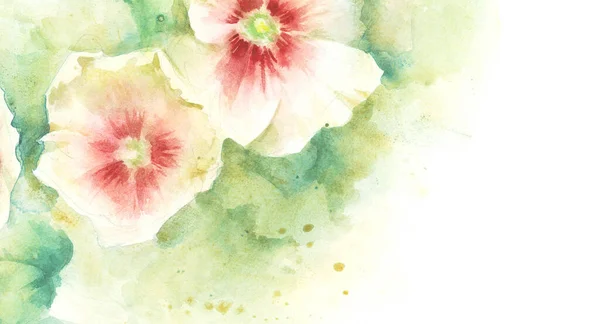 Mallow Rosa Blommor Handfärg Akvarell Illustration Mall För Gratulationskort Banner — Stockfoto