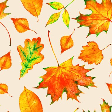 Elle boyanmış suluboya kırmızı ve sarı sonbahar yaprakları: meşe ağacı; dişbudak ağacı, akçaağaç, huş ağacı. Tekstil, baskı, duvar kağıdı, hatıra defteri için sonbahar arkaplanı.